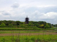 国分寺の五重の塔・・・まるで奈良！
