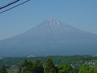 桜峠を下ると、正面に富士・・・大石寺も。