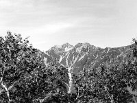柏原新道登山口より先ずは種池山荘を目指して。横に蓮華岳、前に針ノ木岳を見ながら、ひたすら上り