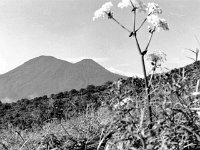 優美な黒姫山。